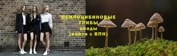 марки lsd Алексеевка