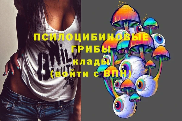 спайс Алексин