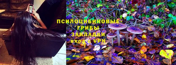 прущая мука Алзамай
