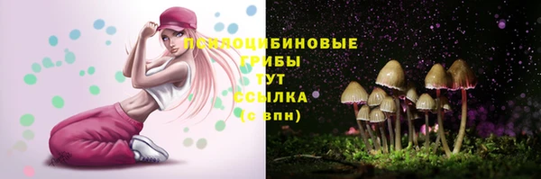 спайс Алексин